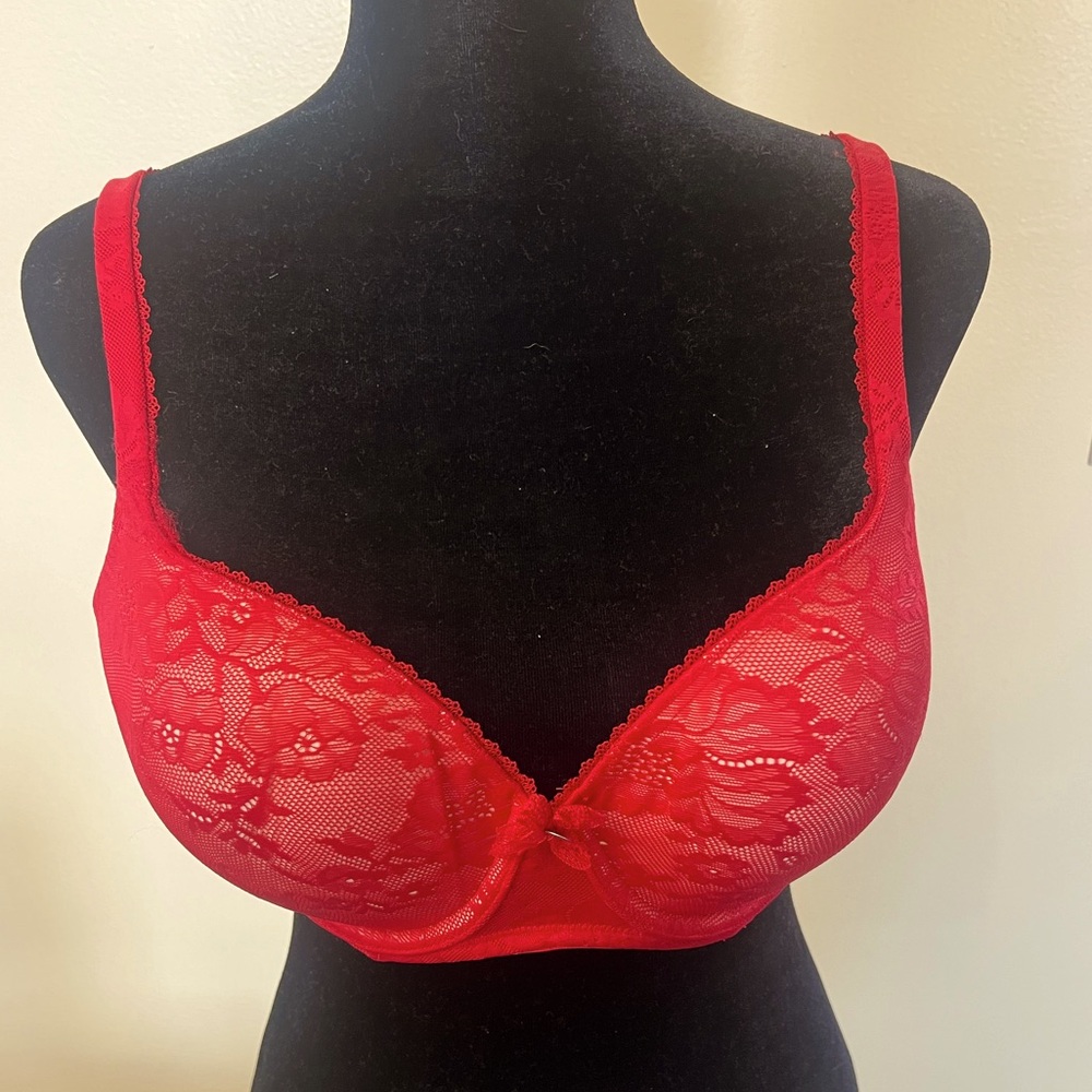 Beautiful Body by Victoria Lined Demi Bra